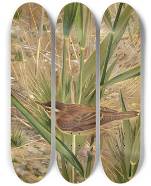 Triptych art skateboard deck of Lopaul Robert Phragmite by Leo Paul Robert (1851-1923)