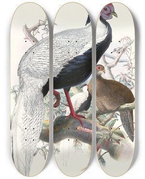 Triptych art skateboard deck of Joseph Smit Euplocomus Nycthemerus by Joseph Smit (1836-1929)