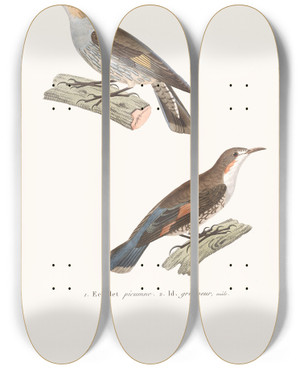 Triptych art skateboard deck of Coenraad Jacob Temminck Chelet Picumne by Coenraad Jacob Temminck (1778-1858)