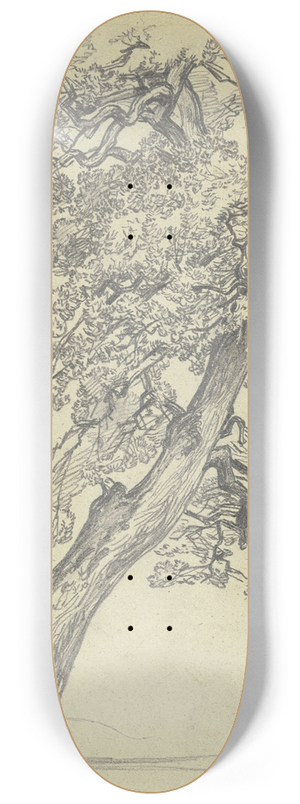 Jakob Becker - Tree 8.25 inch art skate deck