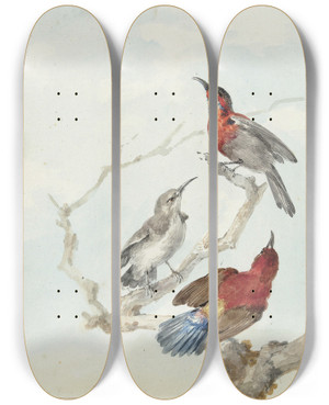 Triptych art skateboard deck of Aert Schouman Three Crimson Sunbirds by Aert Schouman (1710-1792)