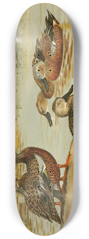 Allan Brooks - Australian Shoveller, South African Shoveller, Red Shoveller 8.25 inch art skate deck