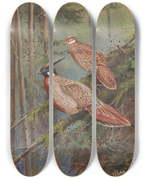 Triptych art skateboard deck of George Edward Lodge The Common Koklass Pheasant by George Edward Lodge (1860-1954)