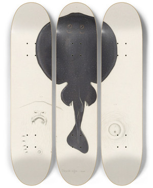 Triptych art skateboard deck of Arthus Bertrand Torpedo Nigra by Arthus Bertrand (19-)