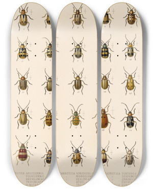 Triptych art skateboard deck of Frederick Ducane Godman Insecta Coleoptera Pl 262 by Frederick Ducane Godman (1834-1919)