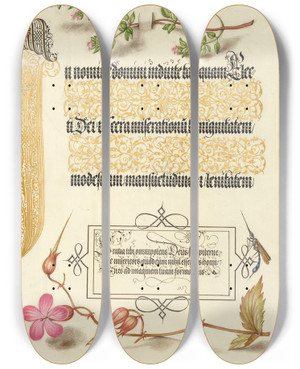 Triptych art skateboard deck of Joris Hoefnagel Basil Thyme Insect And Herb Robert by Joris Hoefnagel (1542-1600)