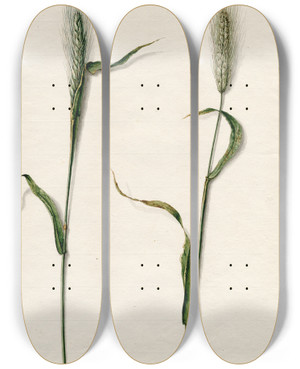 Triptych art skateboard deck of Barend Hendrik Thier Rogge by Barend Hendrik Thier (1751-1814)