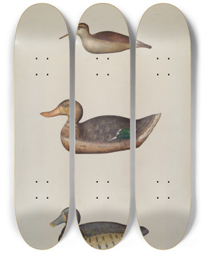 Triptych art skateboard deck of Harriette Gale Three Decoy Ducks by Harriette Gale
