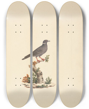 Triptych art skateboard deck of Luigi Balugani Untitled Bird by Luigi Balugani (1737-1770)