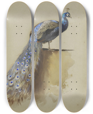 Triptych art skateboard deck of Archibald Thorburn Peacock by Archibald Thorburn (1860-1935)
