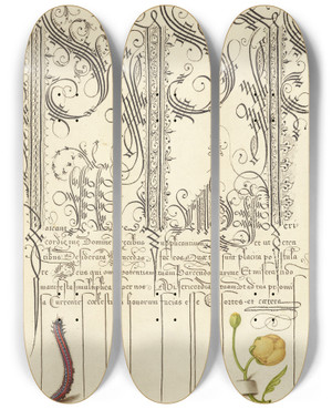 Triptych art skateboard deck of Joris Hoefnagel Caterpillar And Globeflower by Joris Hoefnagel (1542-1600)