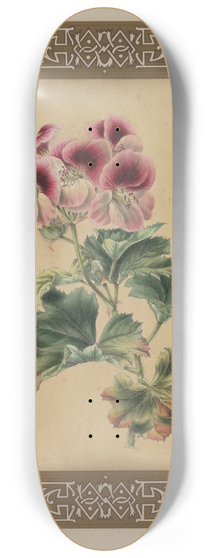 James Andrews - The Geranium 8.25 inch art skate deck