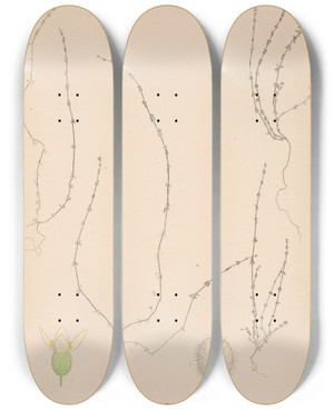 Triptych art skateboard deck of Louis Antoine Cusin Herbier De La Flore Franaise Pl0657 by Louis Antoine Cusin (1824-1901)