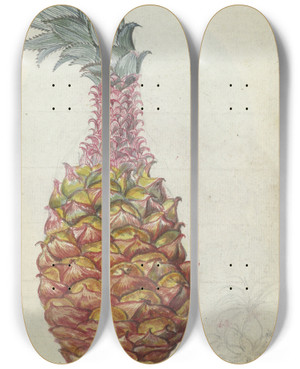 Triptych art skateboard deck of Jan Brandes Ananas_2 by Jan Brandes (1743-1808)