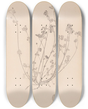 Triptych art skateboard deck of Louis Antoine Cusin Herbier De La Flore Franaise Pl0247 by Louis Antoine Cusin (1824-1901)