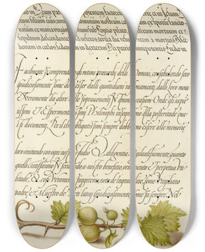 Triptych art skateboard deck of Joris Hoefnagel European Currant by Joris Hoefnagel (1542-1600)