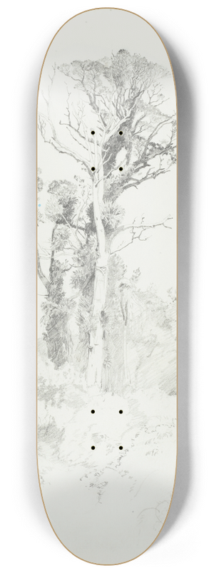 James Crowe Richmond - Detribalised natives, Taranaki 8.25 inch art skate deck