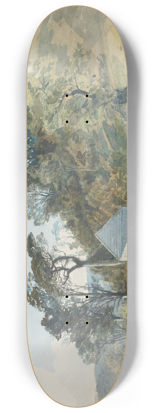 James Crowe Richmond - Dunedin 8.25 inch art skate deck