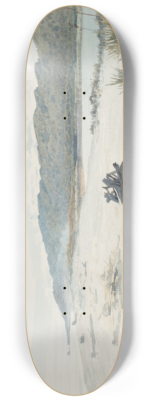 James Crowe Richmond - Grey River, on the beach 8.25 inch art skate deck