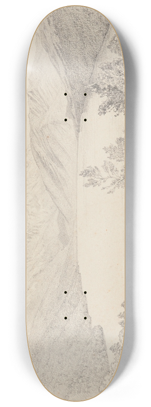 James Crowe Richmond - Lake Rotoroa 8.25 inch art skate deck