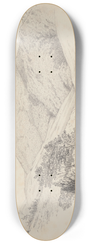 James Crowe Richmond - Ngatapa from the East 8.25 inch art skate deck