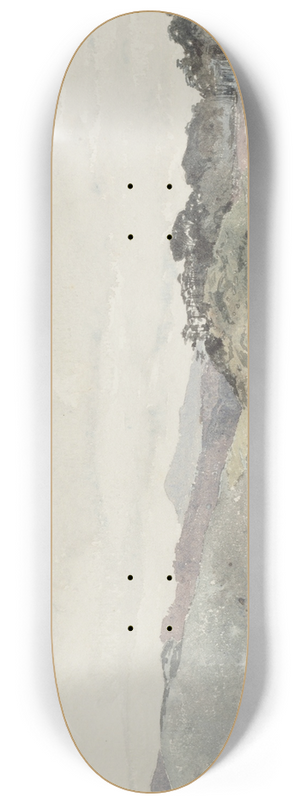 James Crowe Richmond - West Wanganui from the South East 8.25 inch art skate deck