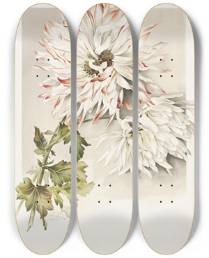Triptych art skateboard deck of Sidney Thomas Callowhill Chrysanthemums by Sidney Thomas Callowhill (1867-1939)