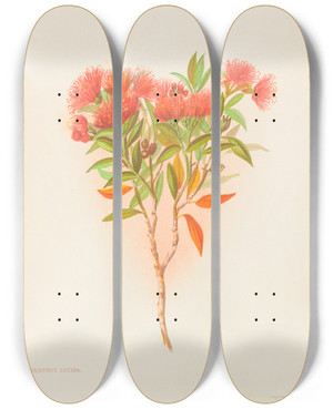 Triptych art skateboard deck of Georgina Burne Hetley Metrosideros Lucida by Georgina Burne Hetley (1832-1898)