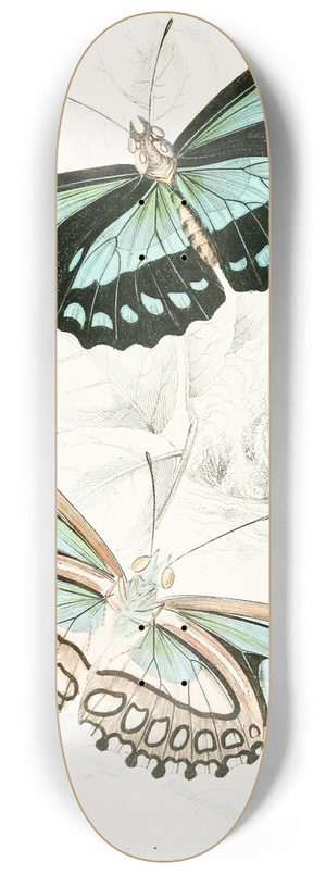 James Duncan - Cethosia Dido 8.25 inch art skate deck