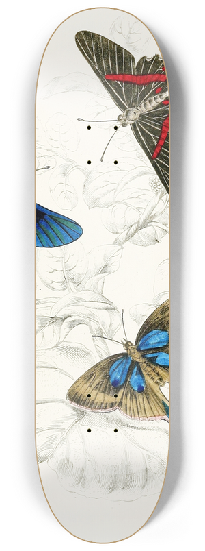 James Duncan - Erycina Melibaeus,Laxura Alcides 8.25 inch art skate deck