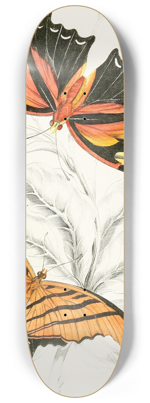 James Duncan - Marius Thetis, Fabius Hippona 8.25 inch art skate deck