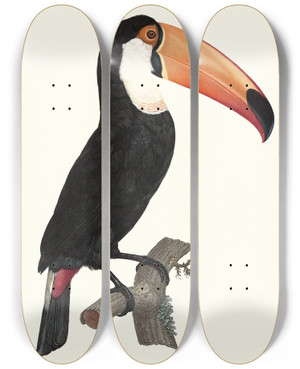 Triptych art skateboard deck of Jacques Barraband Le Toco by Jacques Barraband (1767-1809)