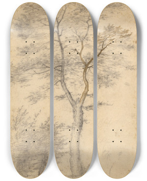 Triptych art skateboard deck of Fra Bartolomeo Three Studies Of Trees by Fra Bartolomeo (1472-1517)