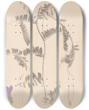 Triptych art skateboard deck of Louis Antoine Cusin Herbier De La Flore Franaise Pl0476 by Louis Antoine Cusin (1824-1901)