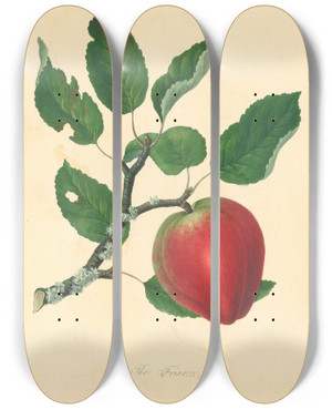 Triptych art skateboard deck of Thomas Andrew Knight Friar by Thomas Andrew Knight (1759-1838)