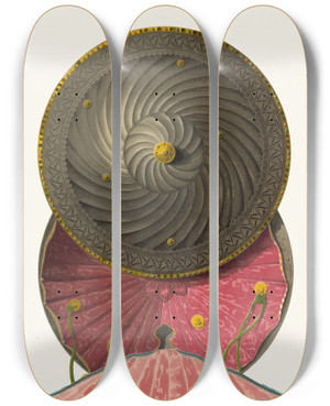 Triptych art skateboard deck of Fedor Grigoryevich Solntsev Bulatnyi Shchit by Fedor Grigoryevich Solntsev (1801-1892)