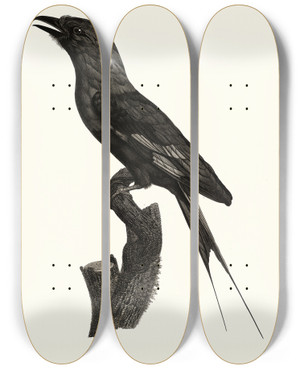 Triptych art skateboard deck of Jacques Barraband Le Rollier Ventre Bleu by Jacques Barraband (1767-1809)