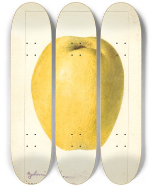 Triptych art skateboard deck of Deborah Griscom Passmore Cydonia Oblonga Chinese by Deborah Griscom Passmore (1840-1911)