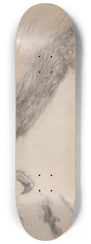 James Ensor - Chinoiserie, a Bird of Prey 8.25 inch art skate deck