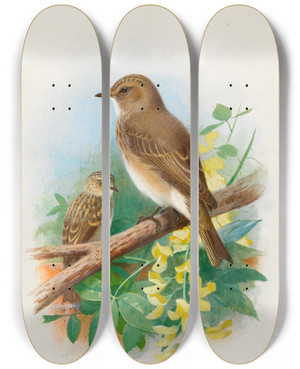 Triptych art skateboard deck of Archibald Thorburn Spotted Flycatchers by Archibald Thorburn (1860-1935)