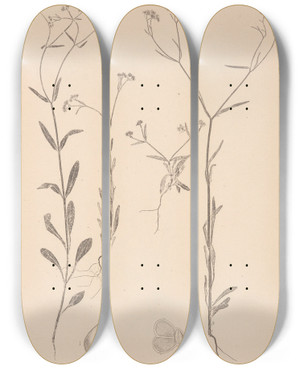 Triptych art skateboard deck of Louis Antoine Cusin Herbier De La Flore Franaise Pl0694 by Louis Antoine Cusin (1824-1901)