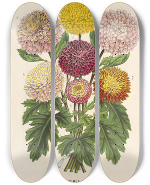Triptych art skateboard deck of Charles Antoine Lemaire Chrysanthmes Nains Dautomne by Charles Antoine Lemaire (1800-1871)