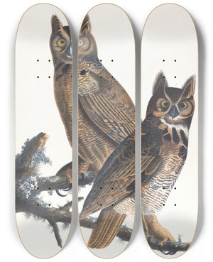 Triptych art skateboard deck of John James Audubon Great Hornedowl by John James Audubon (1785-1851)