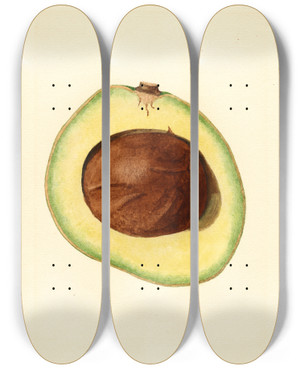 Triptych art skateboard deck of James Marion Shull Persea Winslowson_2 by James Marion Shull (1872-1948)