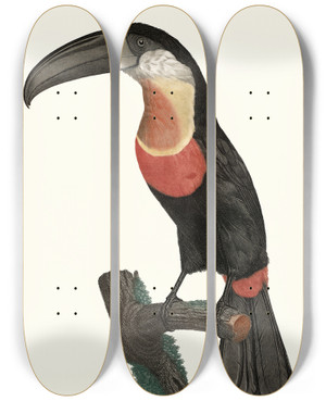 Triptych art skateboard deck of Jacques Barraband Le Pignancoin by Jacques Barraband (1767-1809)