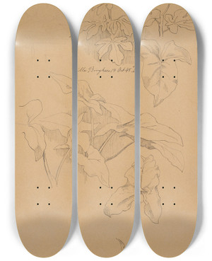 Triptych art skateboard deck of Johan Thomas Lundbye Bladstudier Bla Af En Kala Verst Blyantskrads Af Fronton by Johan Thomas Lundbye (1818-1848)