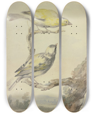 Triptych art skateboard deck of Aert Schouman Two Canaries by Aert Schouman (1710-1792)