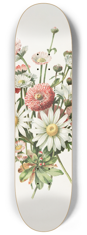 Alois Lunzer - Daisies 8.25 inch art skate deck