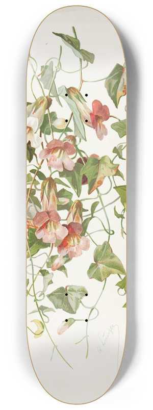 Alois Lunzer - Maurandia 8.25 inch art skate deck