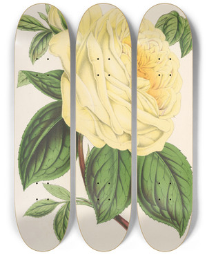 Triptych art skateboard deck of Charles Antoine Lemaire Rose Th Lenfant Trouv by Charles Antoine Lemaire (1800-1871)